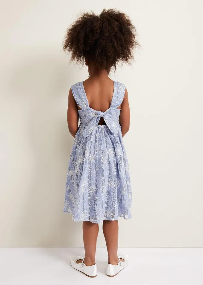 Amelia Embroidered Dress Blue Women Phase Eight Dresses