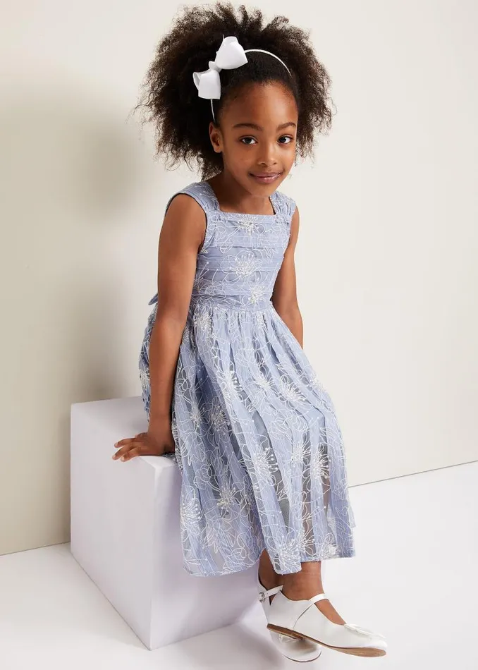Amelia Embroidered Dress Blue Women Phase Eight Dresses
