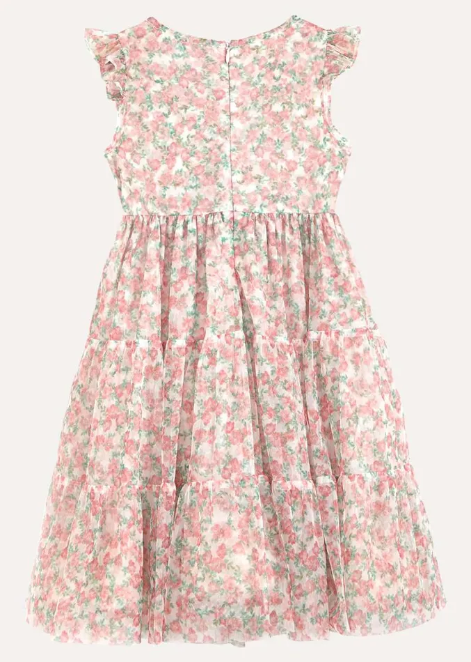 Asha Mesh Floral Smock Dress Multicoloured Women Phase Eight Dresses