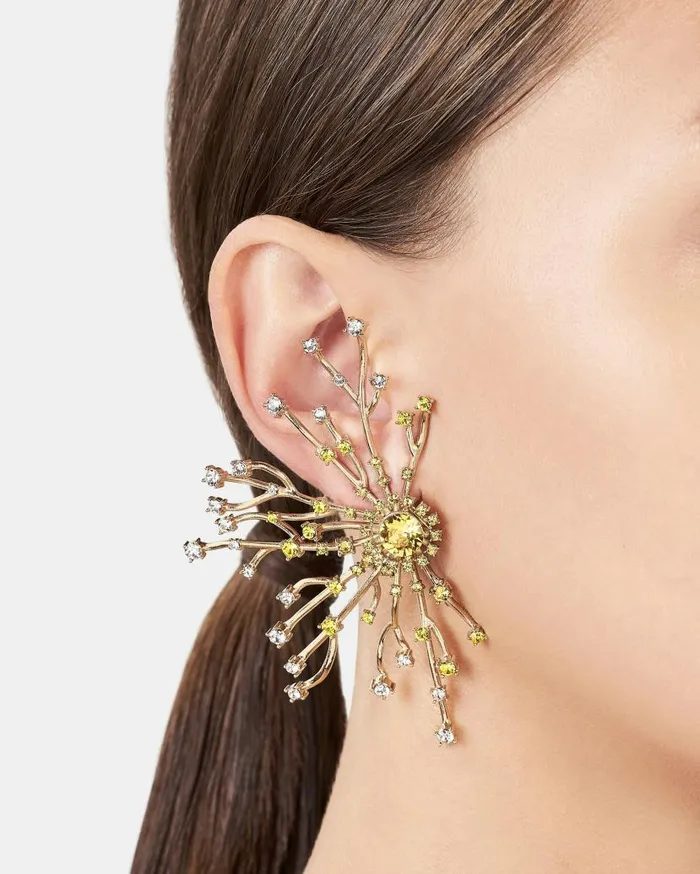 Crystal Roots Earrings Gold Women Aquazzura Jewelry Crystal Roots Earrings Gold Women Aquazzura Jewelry