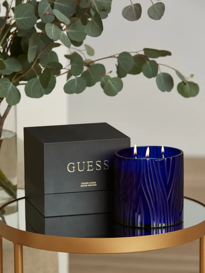 GUESS Home Zebra Candle Gray 8211 Women