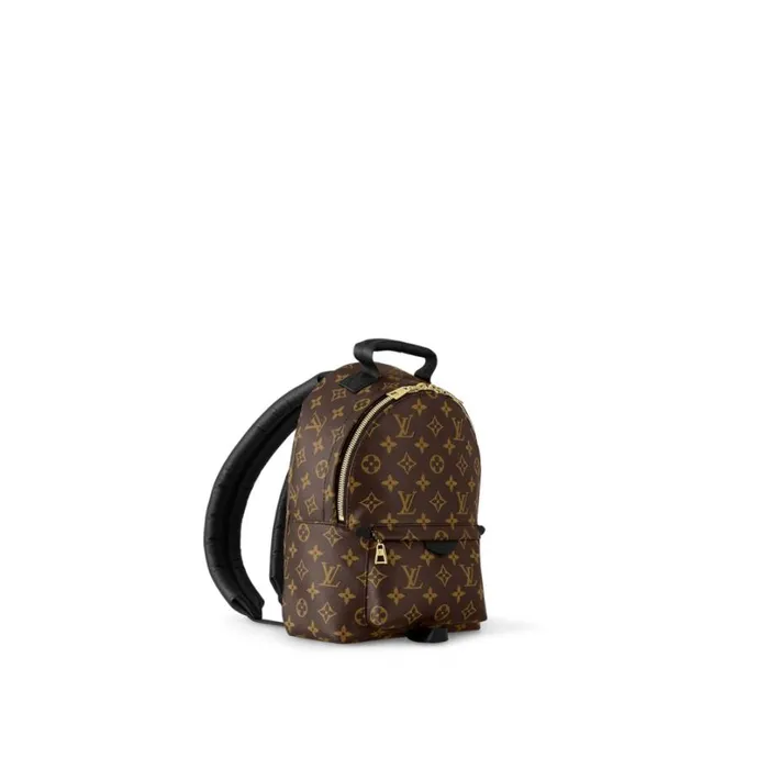 Louis Vuitton Backpacks Louis Vuitton Monogram M44871 Palm Springs PM 8211 Louis Vuitton Handbag Store 8211 Women
