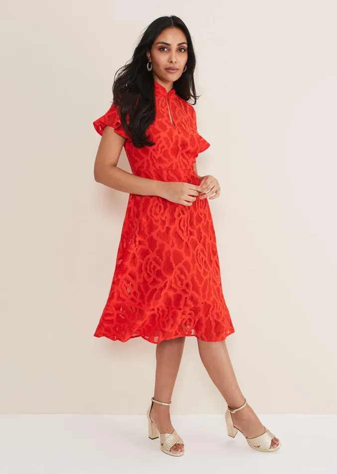 Petite Lulu Lace Midi Dress Fire Women Phase Eight Dresses