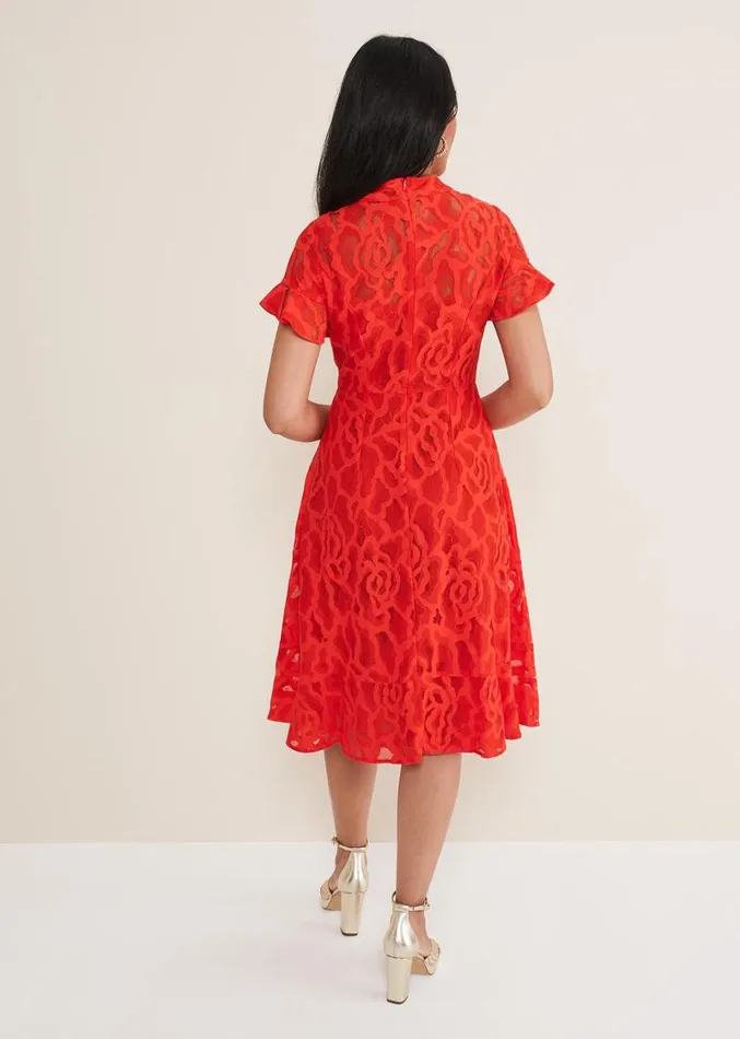 Petite Lulu Lace Midi Dress Fire Women Phase Eight Dresses