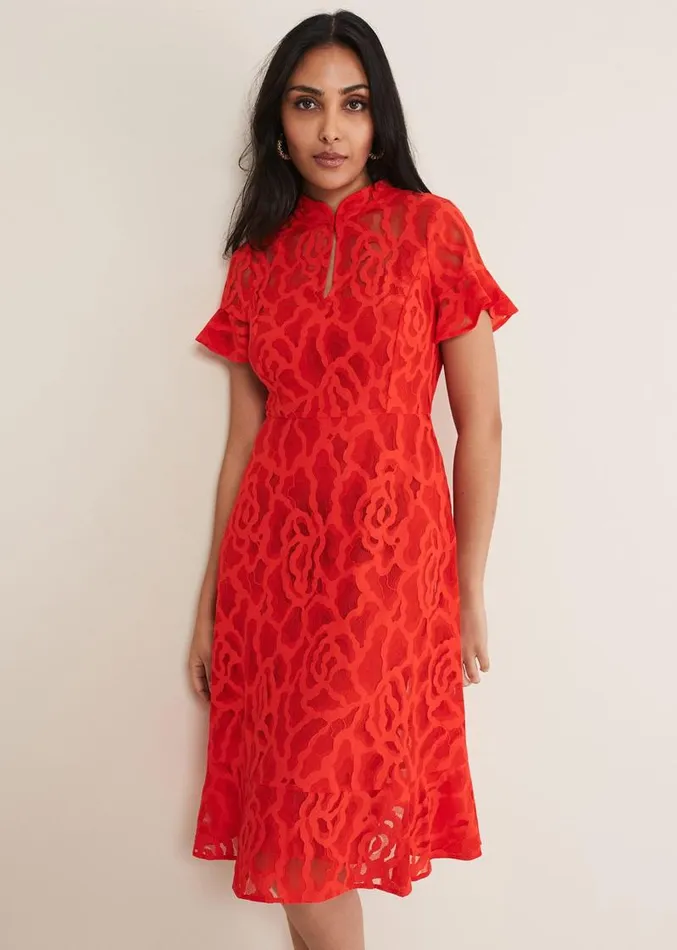 Petite Lulu Lace Midi Dress Fire Women Phase Eight Dresses