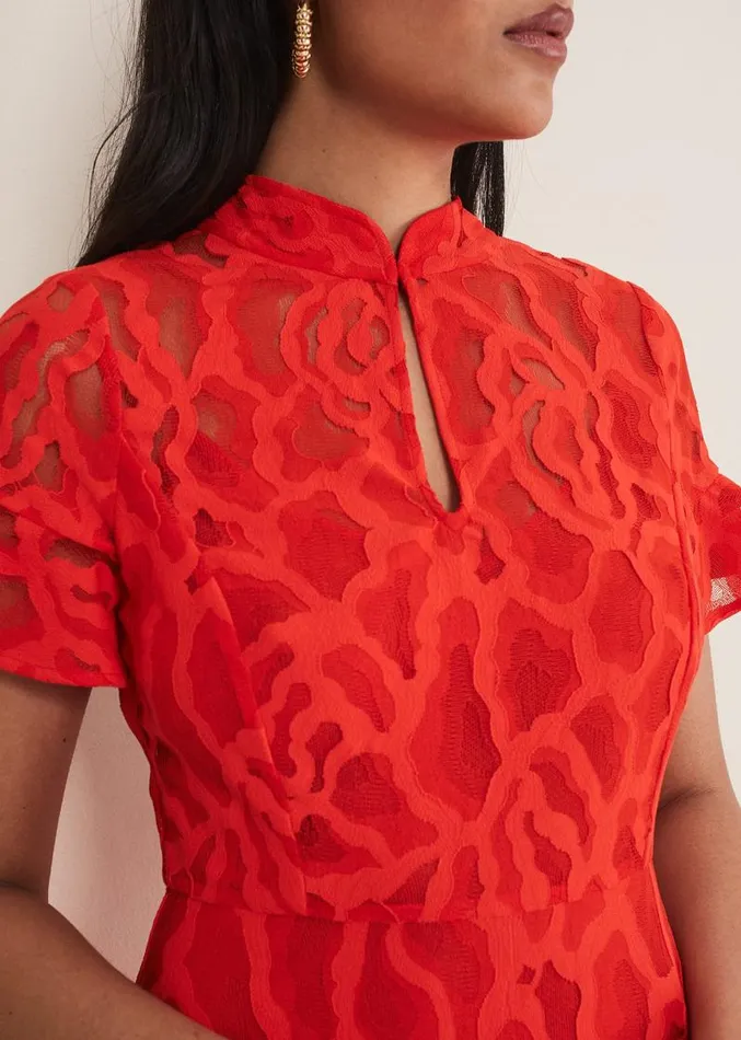 Petite Lulu Lace Midi Dress Fire Women Phase Eight Dresses
