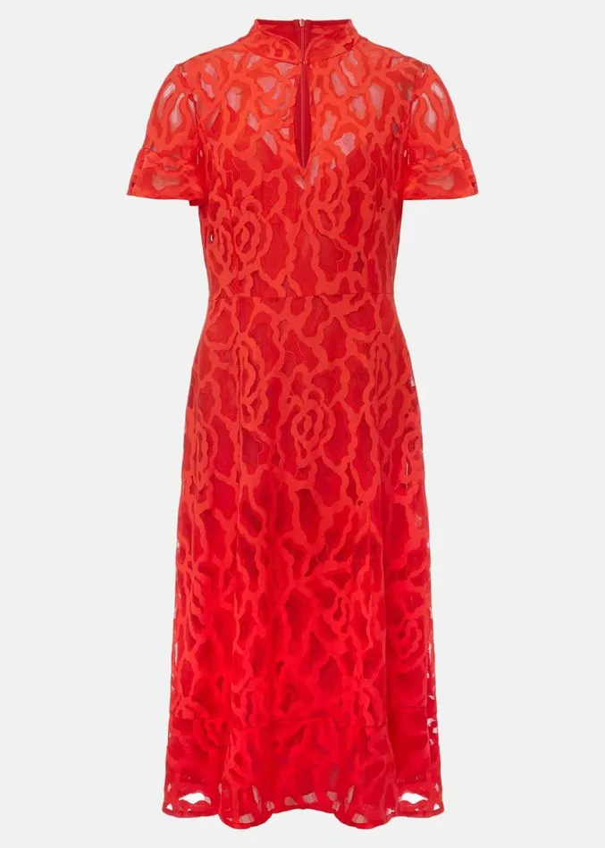 Petite Lulu Lace Midi Dress Fire Women Phase Eight Dresses