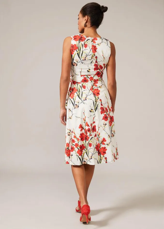 Sofia Floral Cotton Dress Ivoryfire Women Phase Eight Dresses