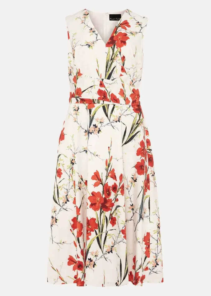 Sofia Floral Cotton Dress Ivoryfire Women Phase Eight Dresses