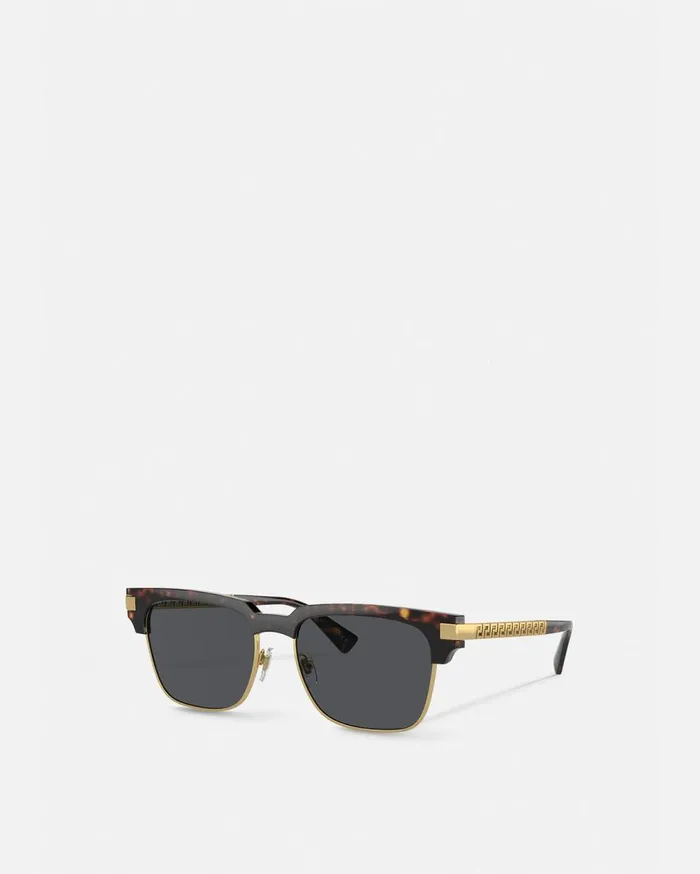 Versace Sunglasses Greca Sunglasses Havana 8211 Men