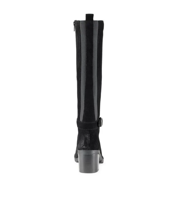 Women Della Tall Boot Black Suede Baretraps Knee High Boots