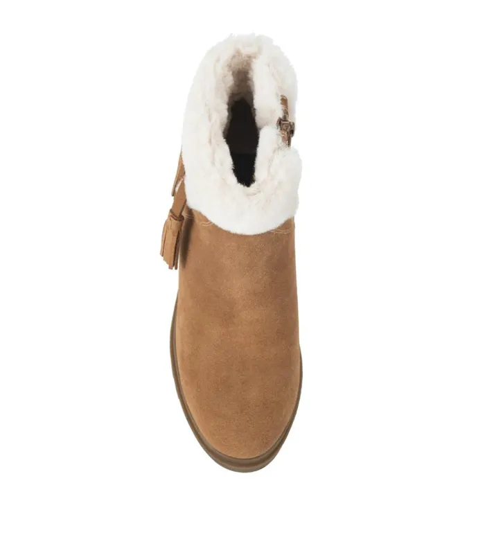 Women Dolors Cold Weather Bootie Cognac Baretraps Cold Weather Boots