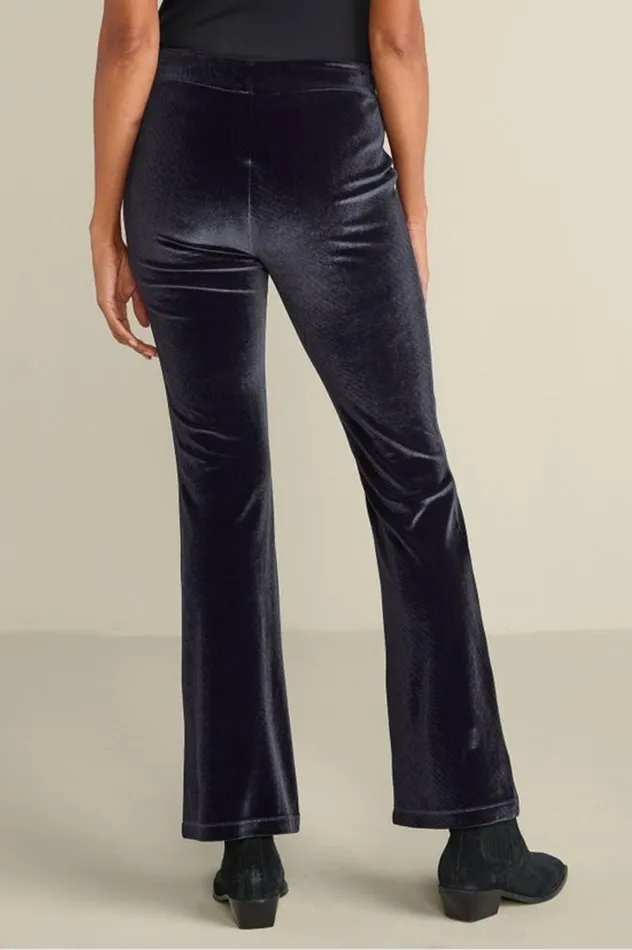 Women Gianna Velvet Bootcut Pants Black Soft Surroundings Pants Women Gianna Velvet Bootcut Pants Black Soft Surroundings Pants