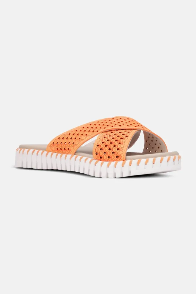 Women Ilse Jacobsen Sandals Sandals 8211 Mango Sorbet Women Ilse Jacobsen Sandals Sandals 8211 Mango Sorbet