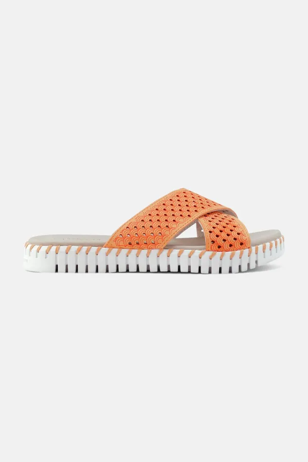 Women Ilse Jacobsen Sandals Sandals 8211 Mango Sorbet Women Ilse Jacobsen Sandals Sandals 8211 Mango Sorbet