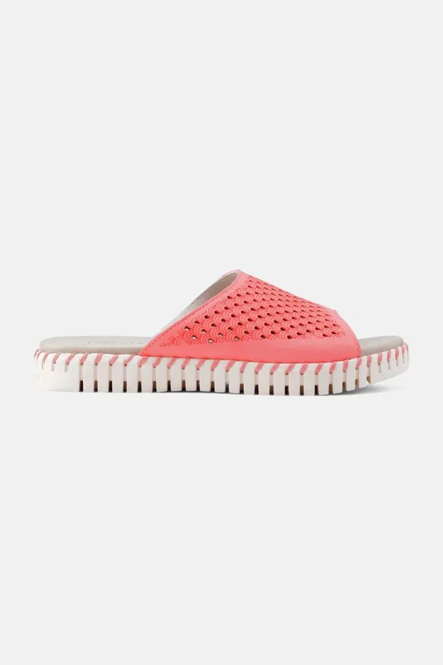 Women Ilse Jacobsen Sandals Sandals 8211 Raspberry Women Ilse Jacobsen Sandals Sandals 8211 Raspberry