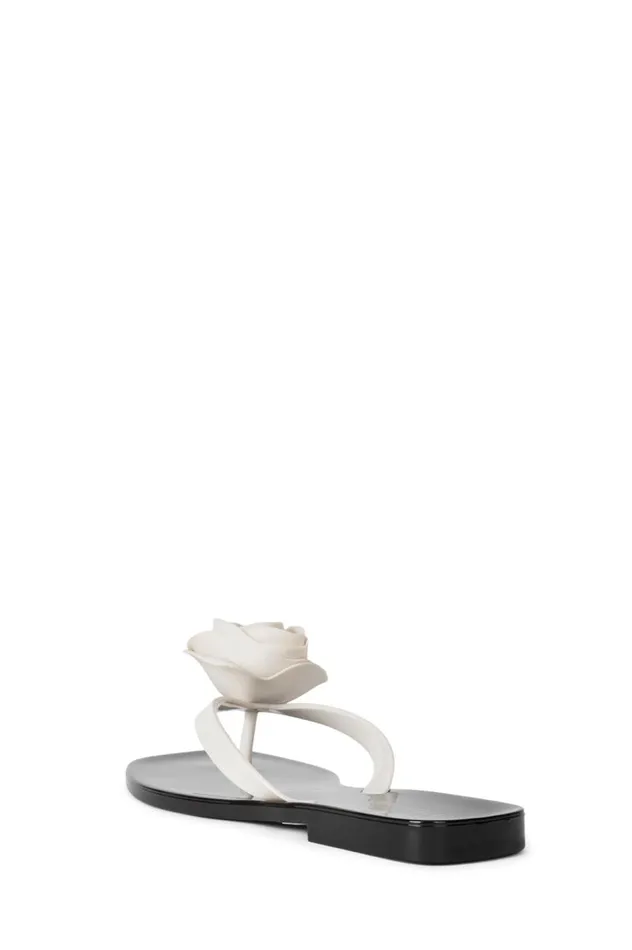 Women Jeffrey Campbell Flat SoSweet