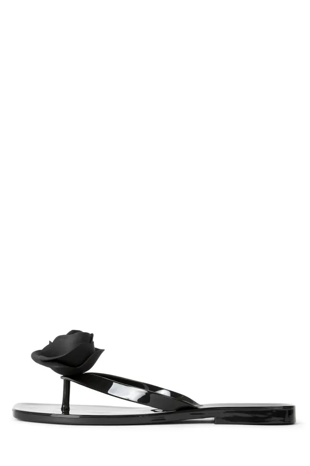 Women Jeffrey Campbell Flat SoSweet