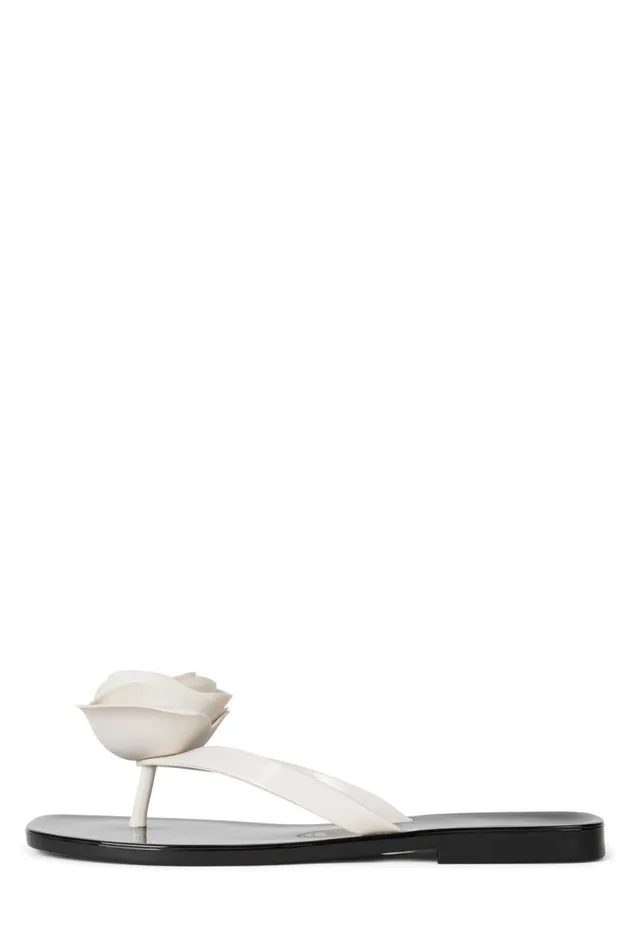 Women Jeffrey Campbell Flat SoSweet