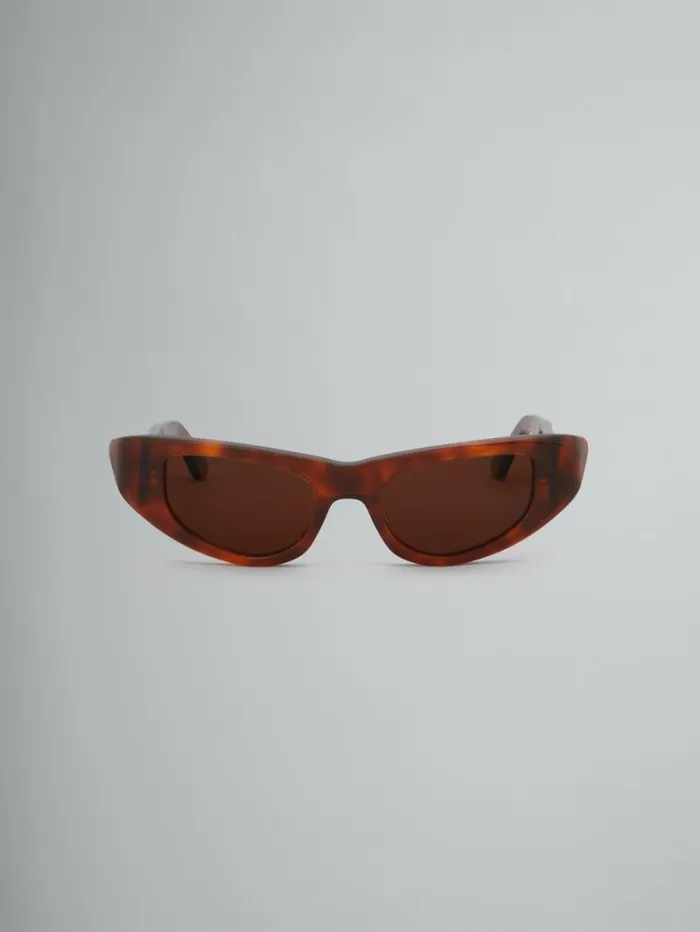 WomenMen Marni Sunglasses Havana Netherworld Sunglasses