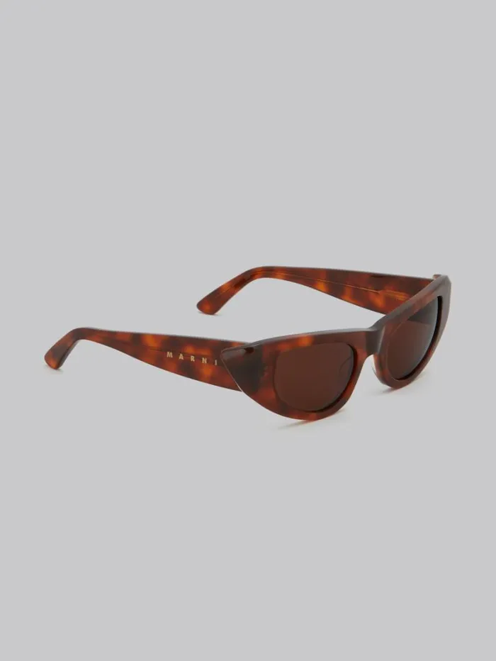 WomenMen Marni Sunglasses Havana Netherworld Sunglasses
