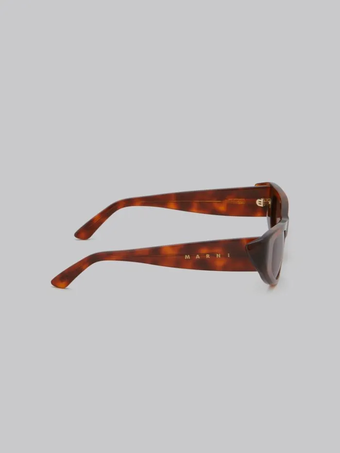 WomenMen Marni Sunglasses Havana Netherworld Sunglasses